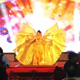 �������ˇ��(j��ng)�o(j��)��˾