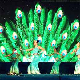 ���轛(j��ng)�o(j��)��˾