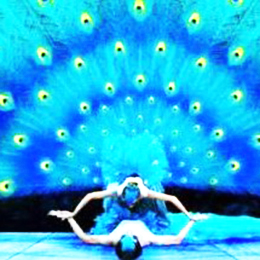 ���轛(j��ng)�o(j��)��˾